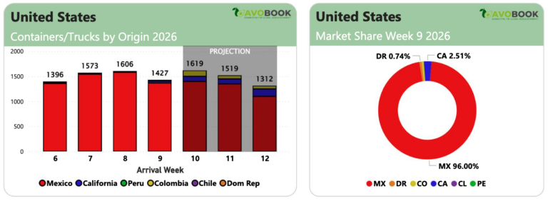 Mexican avocado supply chart